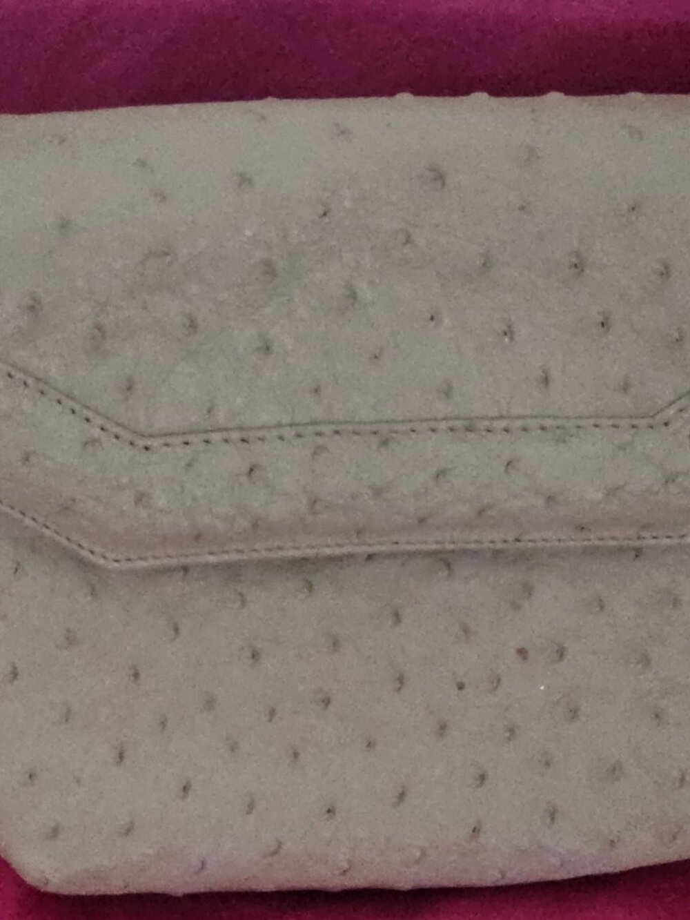 EXOTIC Oatmeal Full Quill  Ostrich Evening Bag